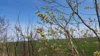 Impressionen 04