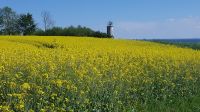 Impressionen 09
