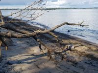 Impressionen 20