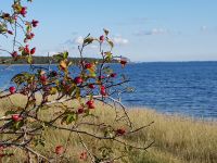 Impressionen 21