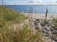 Impressionen 23