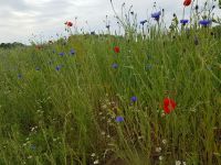 Impressionen 29