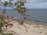 Impressionen 46